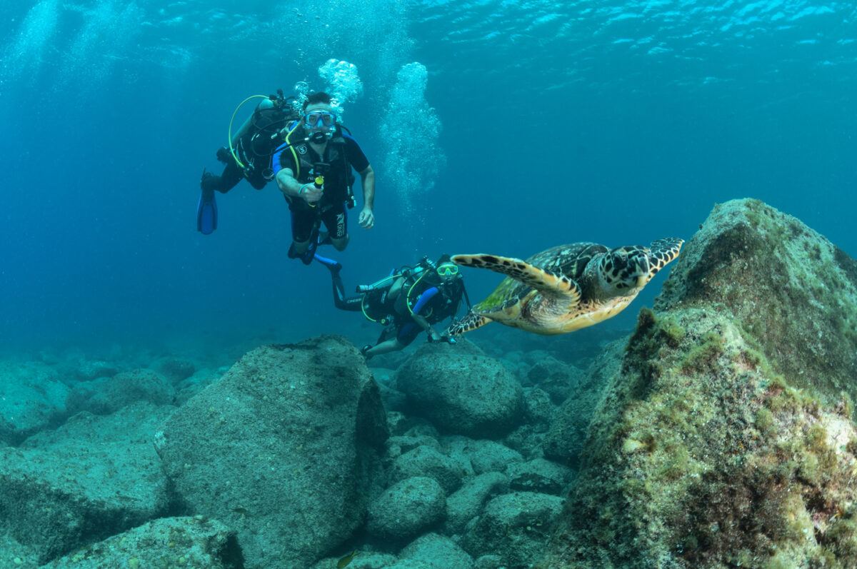 Mergulho em Noronha.