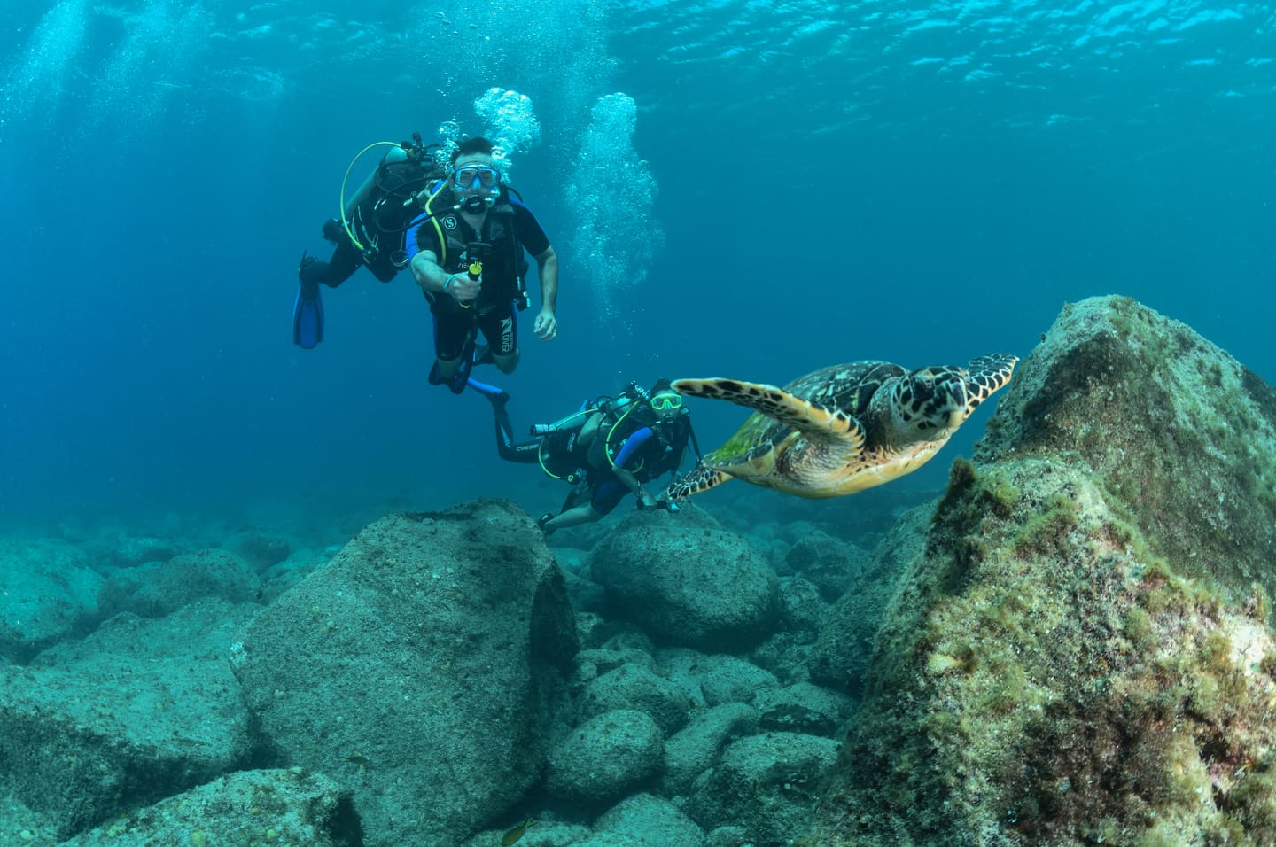Mergulho em Noronha.